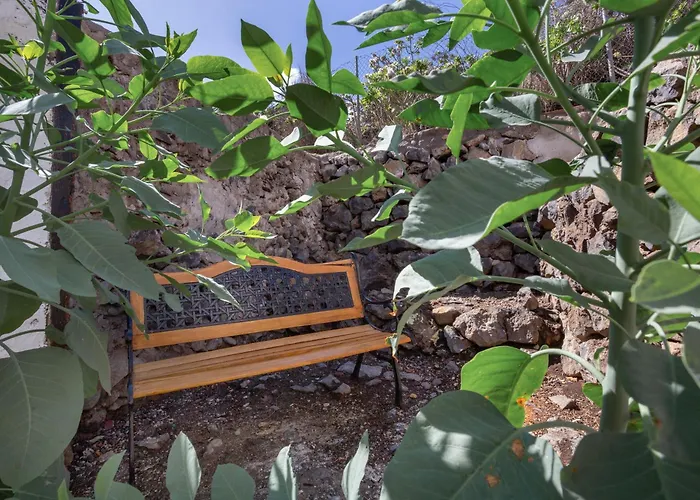 Un Jardin Al Mar ゲストハウス Genovés