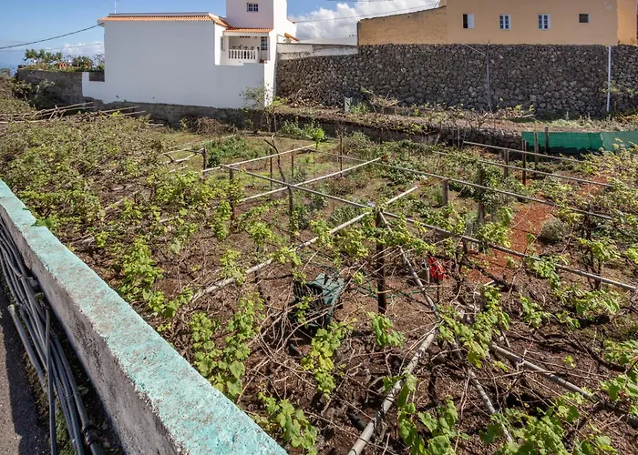 Un Jardin Al Mar Genovés